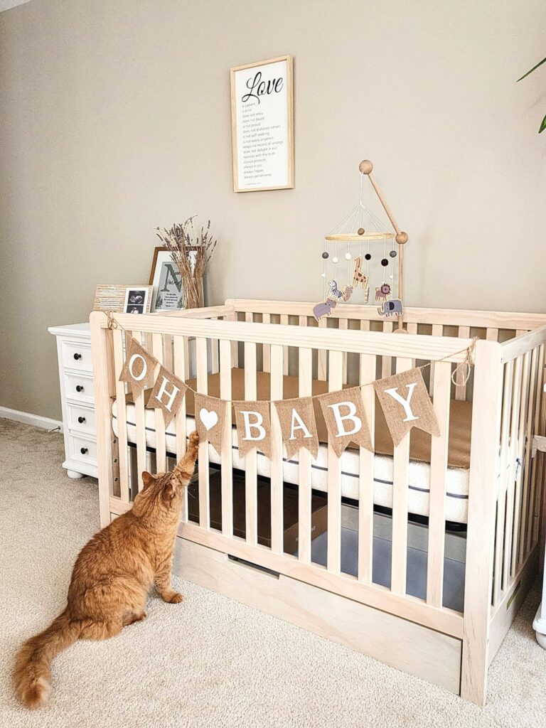 6-in-1 Convertible Crib with Storage Trundle